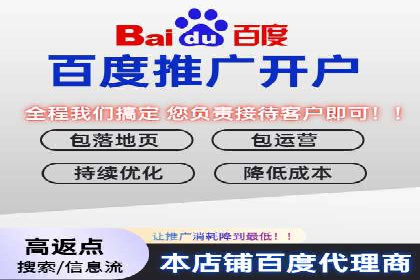 竞价端口开户后的广告投放策略案例