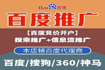 百度推广与SEO结合案例：提升网站排名的技巧